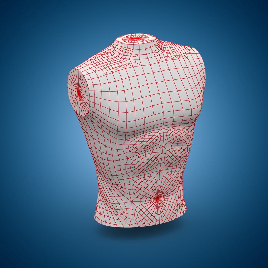 Mannequin Torso 3D - TurboSquid 1682605