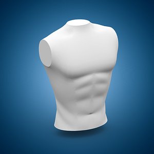 mannequin torso 3D