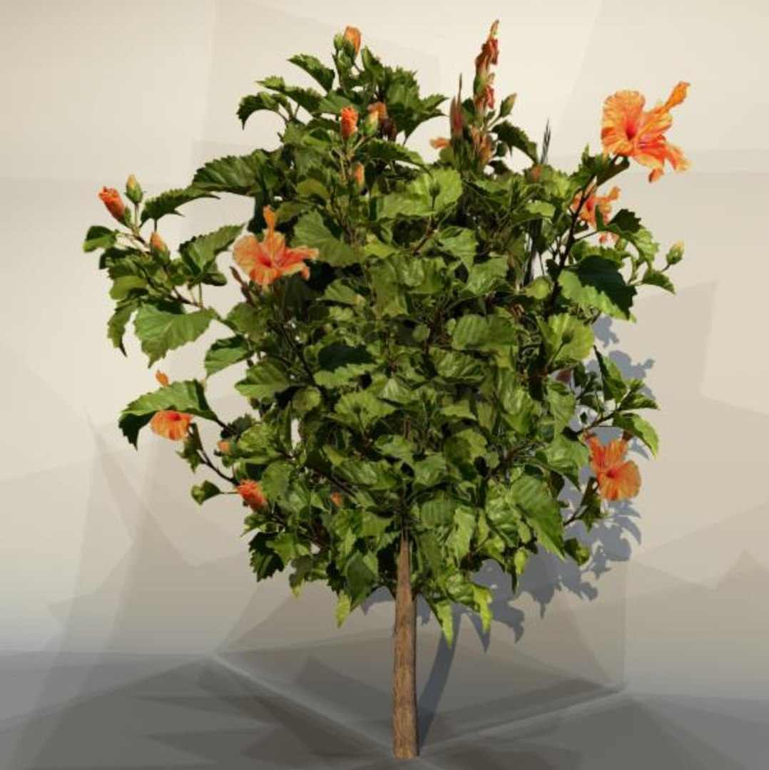 3d bush nature environment