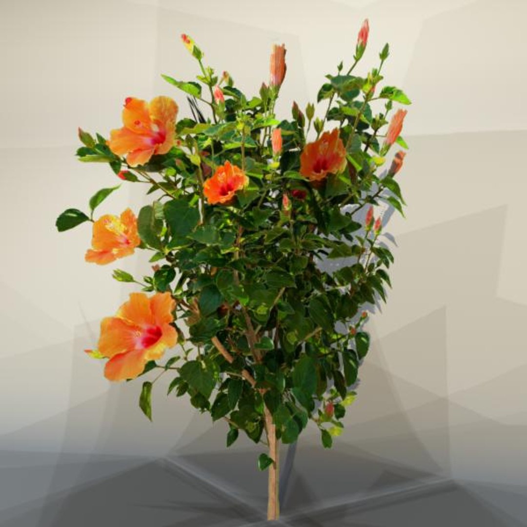 3d bush nature environment