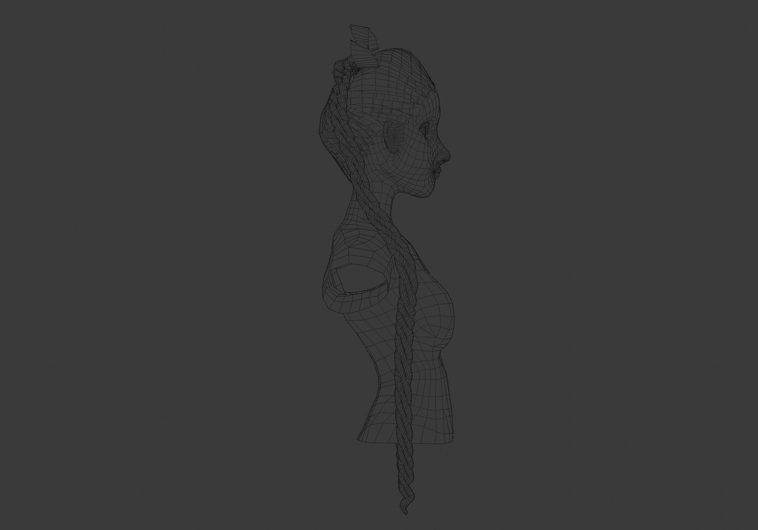 Two Braids Hairstyle Model - TurboSquid 1943666