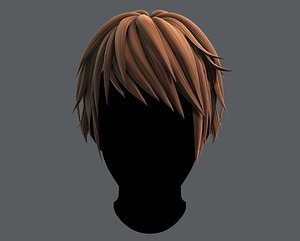 3D Hair style for Man TypeB V02