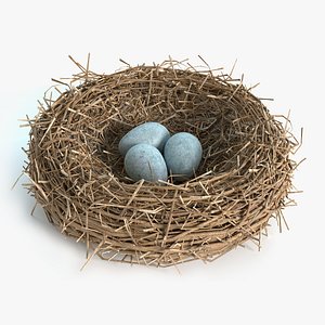 Bird Nest
