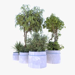 3D indoor plants model