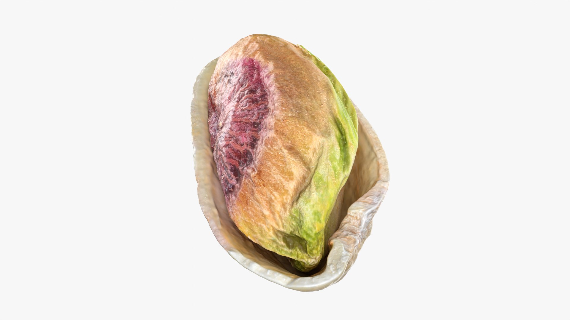 3D Half Pistachio Nut in Shell 02 https://p.turbosquid.com/ts-thumb/ET/J4CFfq/3v/pistachio_0005/png/1755257496/1920x1080/fit_q87/9514374dd828b0a1b370461272bca1f11c15ca65/pistachio_0005.jpg