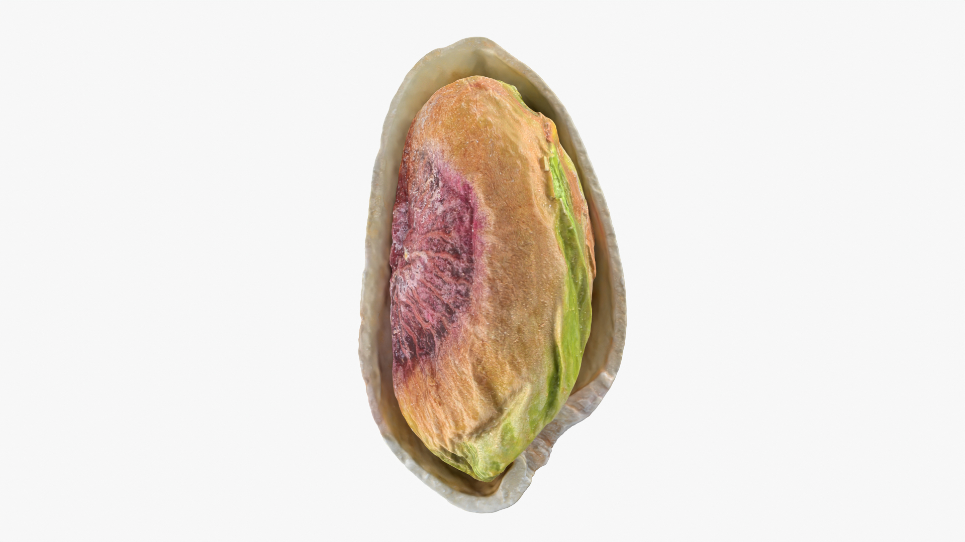 3D Half Pistachio Nut in Shell 02 https://p.turbosquid.com/ts-thumb/ET/J4CFfq/7a/v2pistachio/png/1755257458/1920x1080/turn_fit_q99/cc7f228545175fe331c676ac18d2a9c525503001/v2pistachio-1.jpg