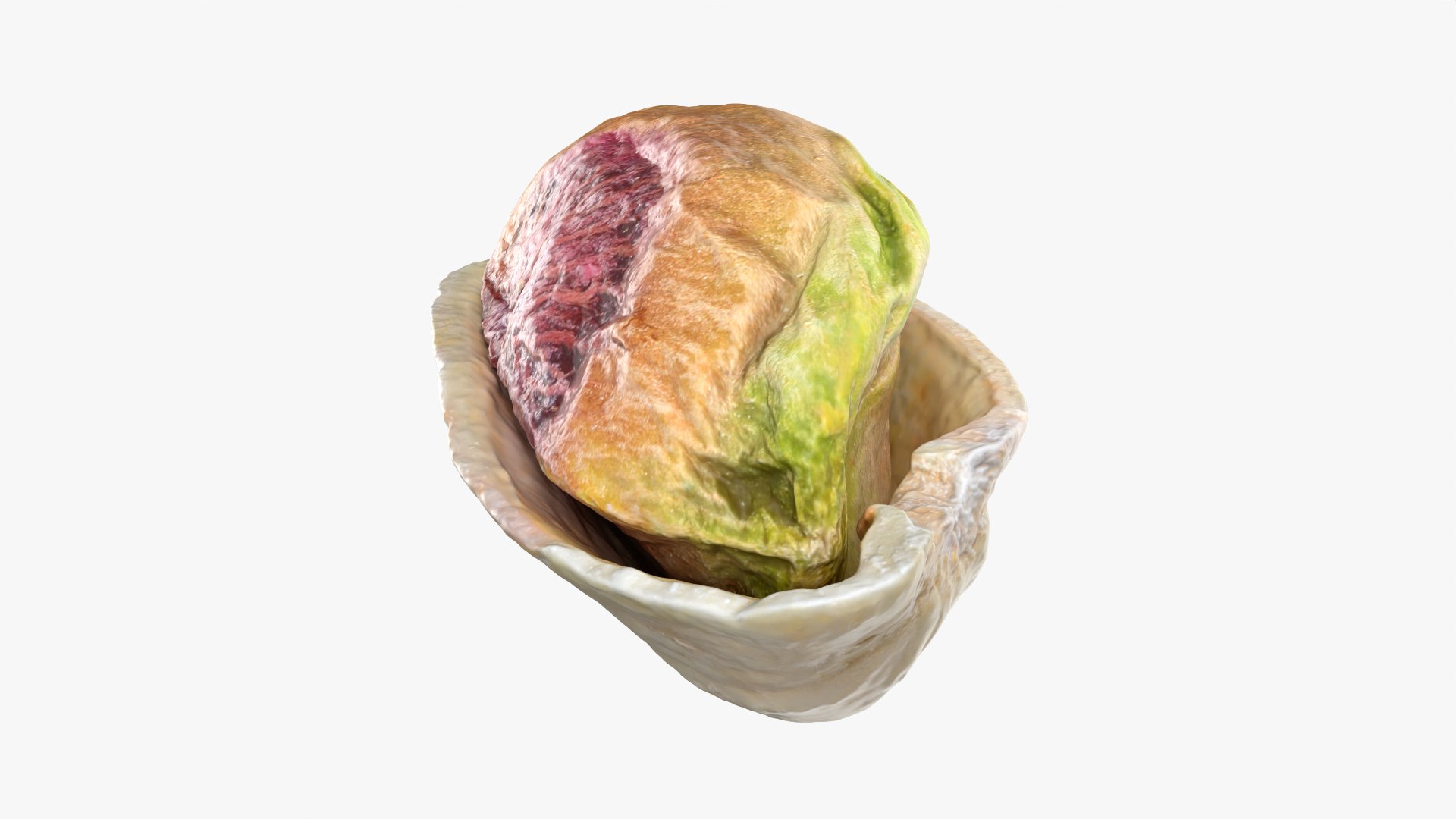 3D Half Pistachio Nut in Shell 02 https://p.turbosquid.com/ts-thumb/ET/J4CFfq/Sj/pistachio_0010/png/1755257501/1920x1080/fit_q87/804af60d888ec83f9530e1abe46c7c3e69bad8e7/pistachio_0010.jpg
