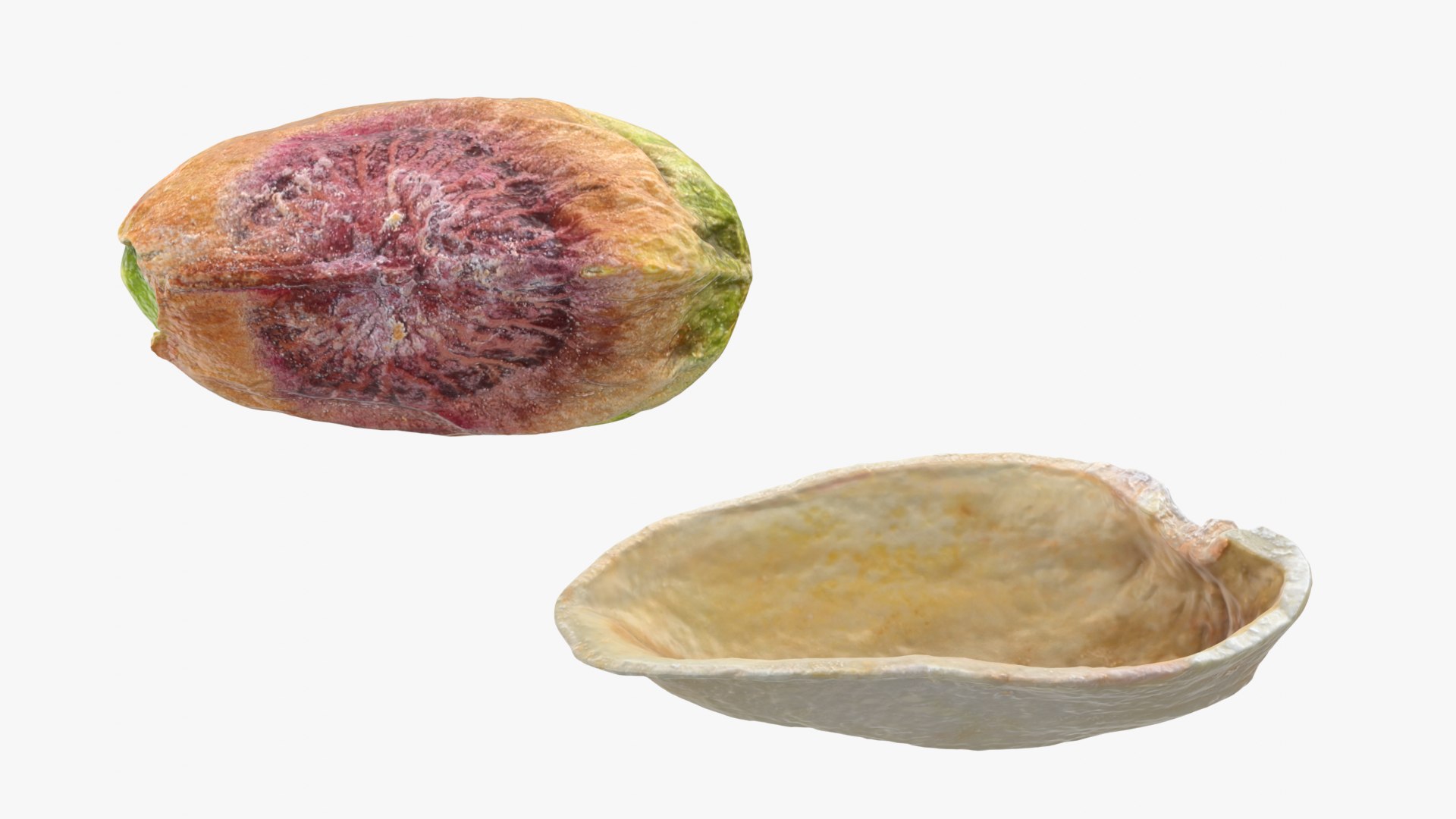 3D Half Pistachio Nut in Shell 02 https://p.turbosquid.com/ts-thumb/ET/J4CFfq/Wf/pistachio_0001b/png/1755257492/1920x1080/fit_q87/37473f304bc9edf167af63bed9749c8acb1bc5cc/pistachio_0001b.jpg