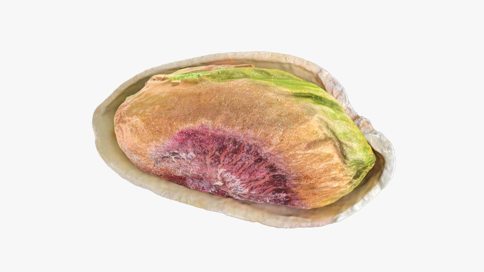 3D Half Pistachio Nut in Shell 02 https://p.turbosquid.com/ts-thumb/ET/J4CFfq/yc/pistachio_0008/png/1755257500/1920x1080/fit_q87/d194708a8426685cfe75ed79bc86589e4ed90ec1/pistachio_0008.jpg