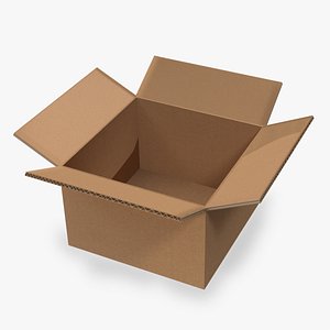 Carboard Box model