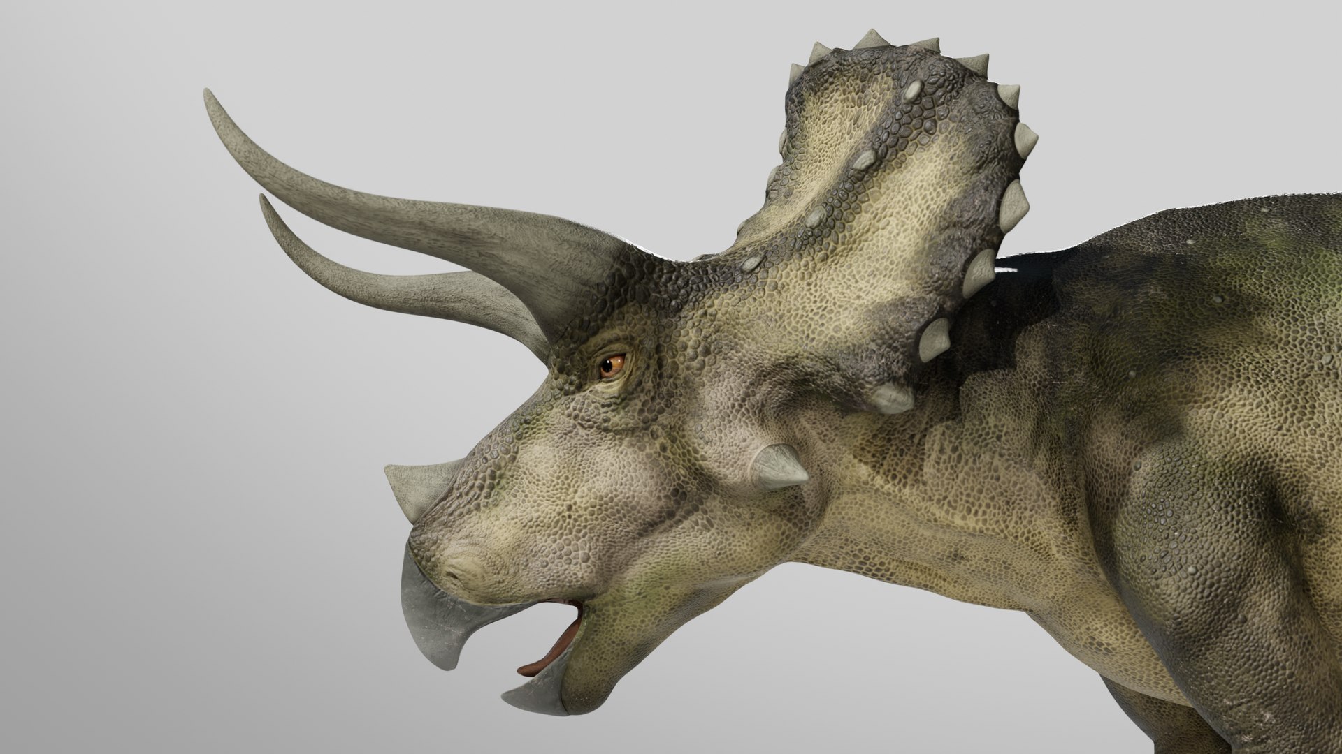 Triceratops Low-poly Rig model https://p.turbosquid.com/ts-thumb/ET/V4lLok/CJ/019/png/1749645853/1920x1080/fit_q87/ed2d7f8d12f4d53a73175cee93e6aeddf42f68b4/019.jpg