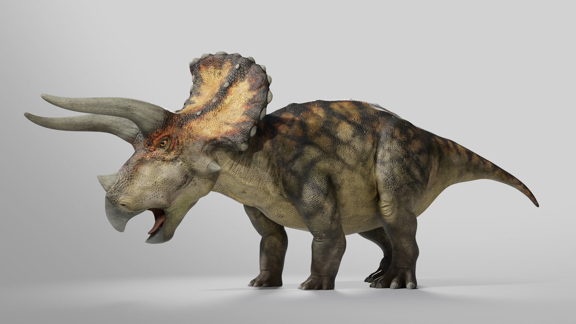 Triceratops Low-poly Rig model https://p.turbosquid.com/ts-thumb/ET/V4lLok/Ex/011/png/1749635351/1920x1080/fit_q87/5b8b91502025136502a092e93ddb59bd7c3f5f6d/011.jpg
