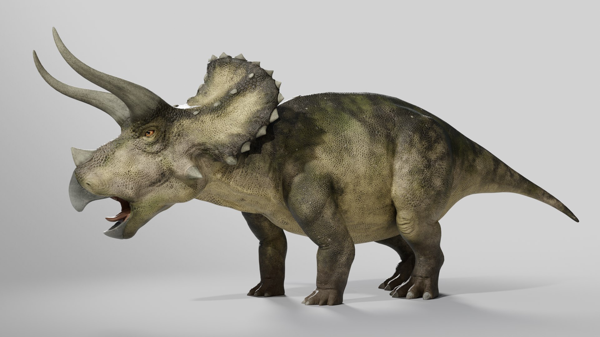Triceratops Low-poly Rig model https://p.turbosquid.com/ts-thumb/ET/V4lLok/K4/015/png/1749636978/1920x1080/fit_q87/932c68f8bda3b1135a2b95f9be96e9e0f56bb18d/015.jpg