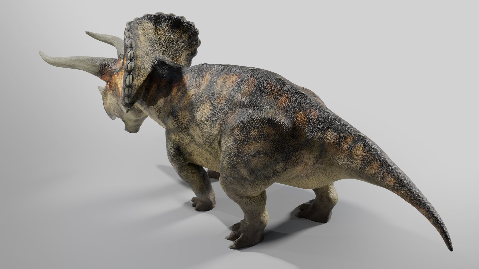 Triceratops Low-poly Rig model https://p.turbosquid.com/ts-thumb/ET/V4lLok/Rx/012/png/1749635360/1920x1080/fit_q87/b84e8c9d487ed5d749b923fff1821b5b9b440480/012.jpg