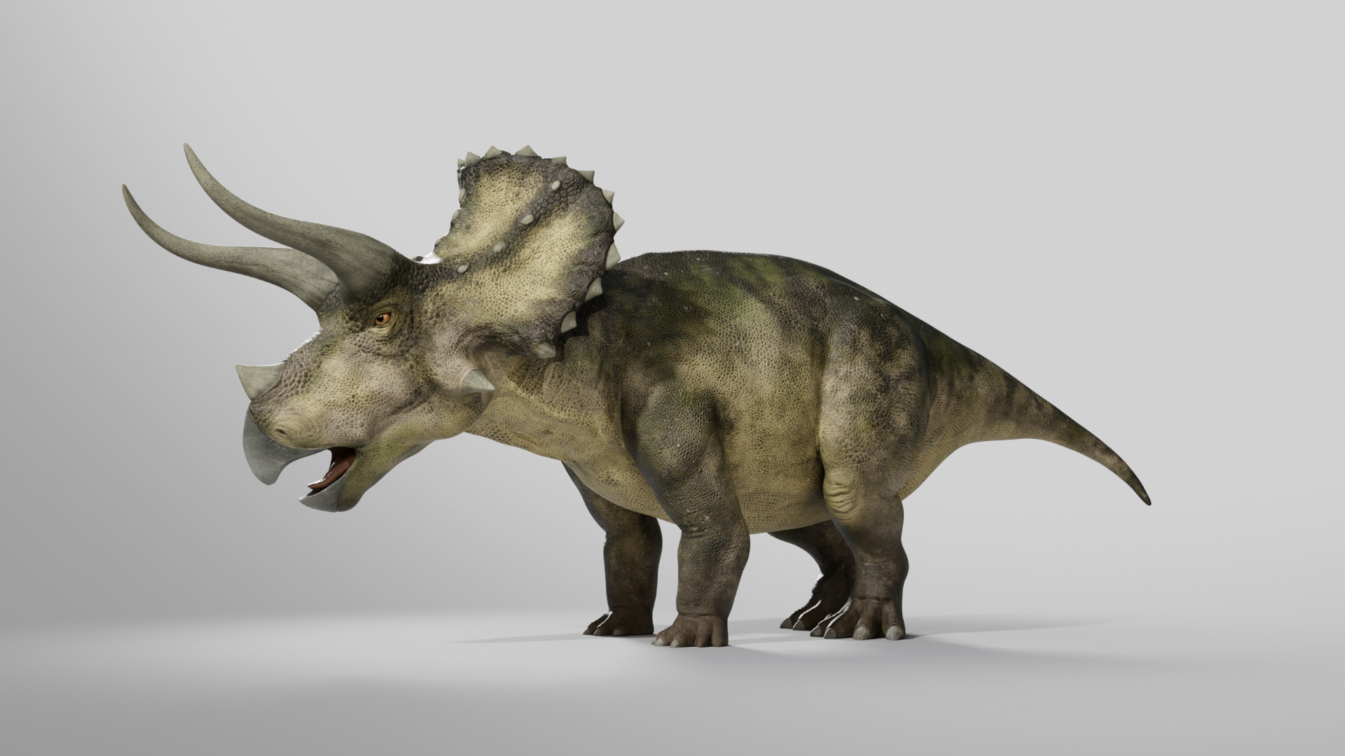 Triceratops Low-poly Rig model https://p.turbosquid.com/ts-thumb/ET/V4lLok/Wz/01/png/1749641237/1920x1080/turn_fit_q99/f18c4c102abfd37e59840db96b7d35854c93e142/01-1.jpg
