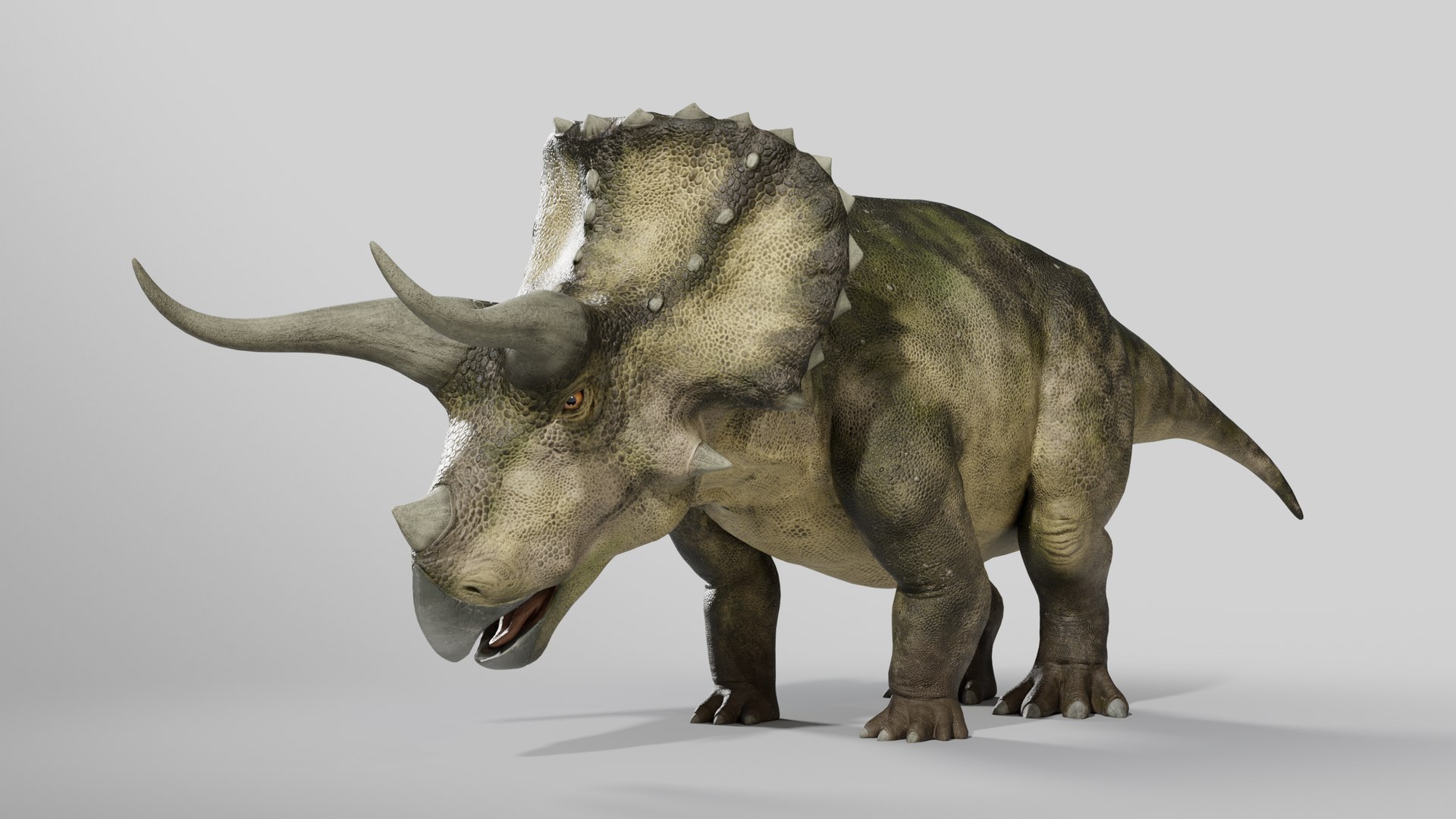 Triceratops Low-poly Rig model https://p.turbosquid.com/ts-thumb/ET/V4lLok/ag/016/png/1749636988/1920x1080/fit_q87/59d0cc30906be38459820c04d45c0e38e1bcf52e/016.jpg
