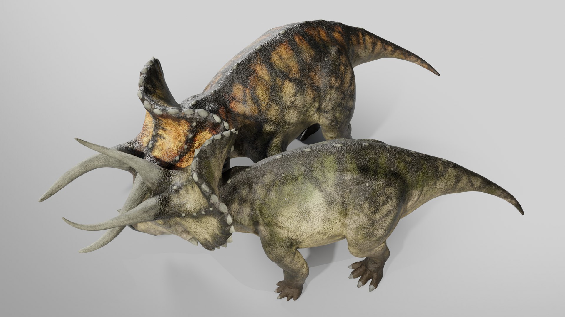 Triceratops Low-poly Rig model https://p.turbosquid.com/ts-thumb/ET/V4lLok/c9/017/png/1749645660/1920x1080/fit_q87/bc0464ef0799fd969fa45787673b6c3cab994011/017.jpg