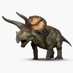 Triceratops Low-poly Rig model