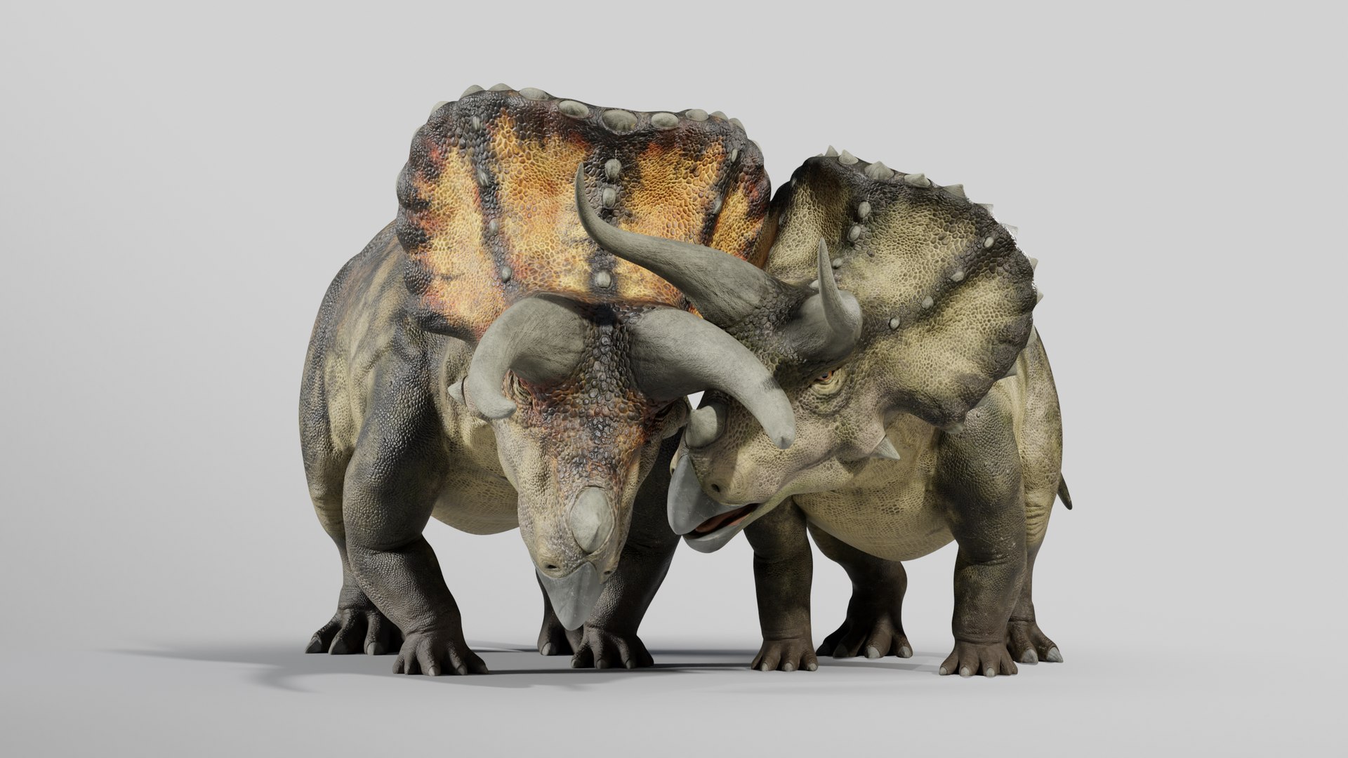 Triceratops Low-poly Rig model https://p.turbosquid.com/ts-thumb/ET/V4lLok/fH/018/png/1749645660/1920x1080/fit_q87/cfa0701bbbcb07d0f8e124c116b5dd664724c6d1/018.jpg
