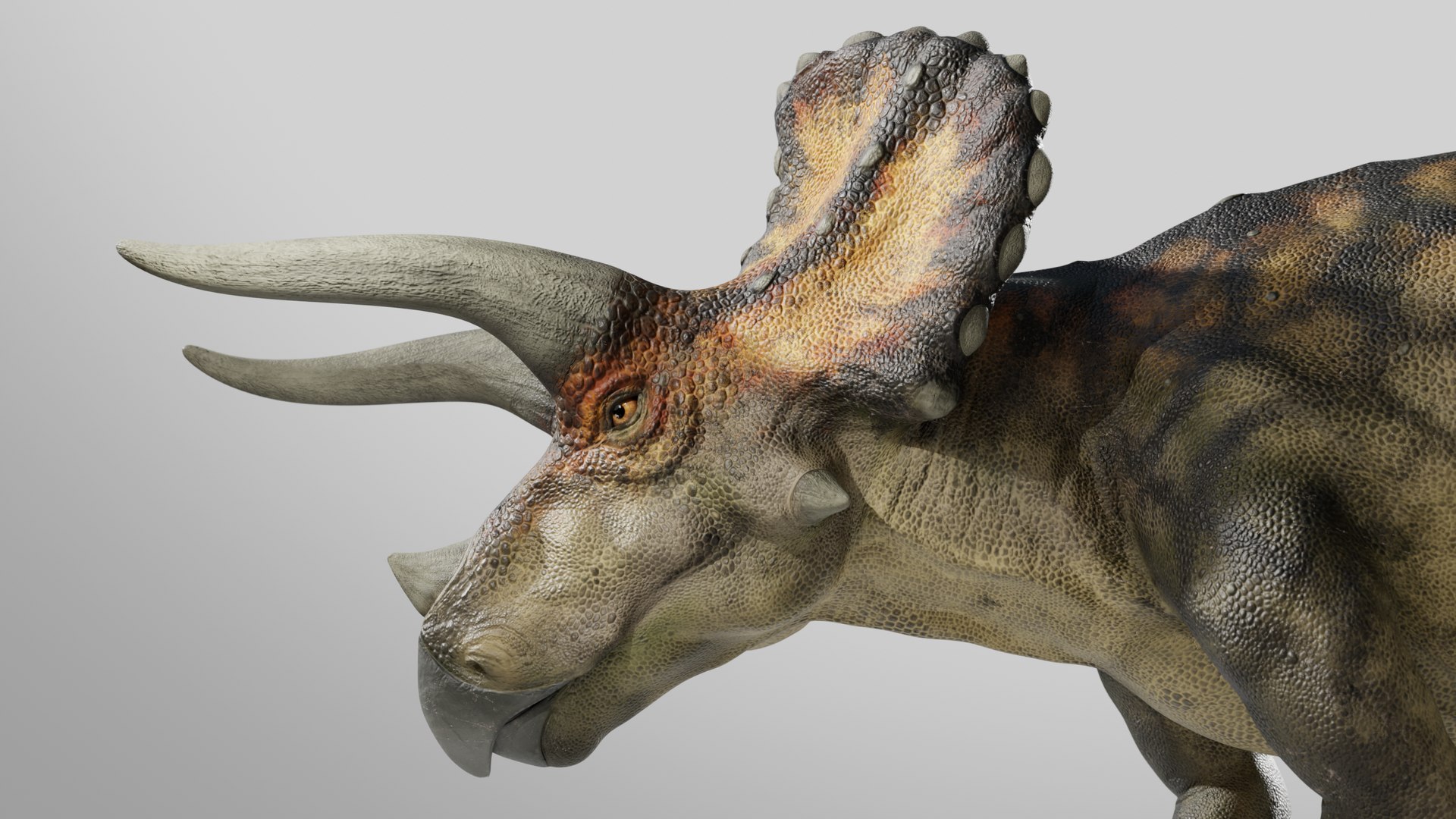 Triceratops Low-poly Rig model https://p.turbosquid.com/ts-thumb/ET/V4lLok/gi/014/png/1749635357/1920x1080/fit_q87/9cac7ddb70d60d732b101201ee1767c377e288e2/014.jpg