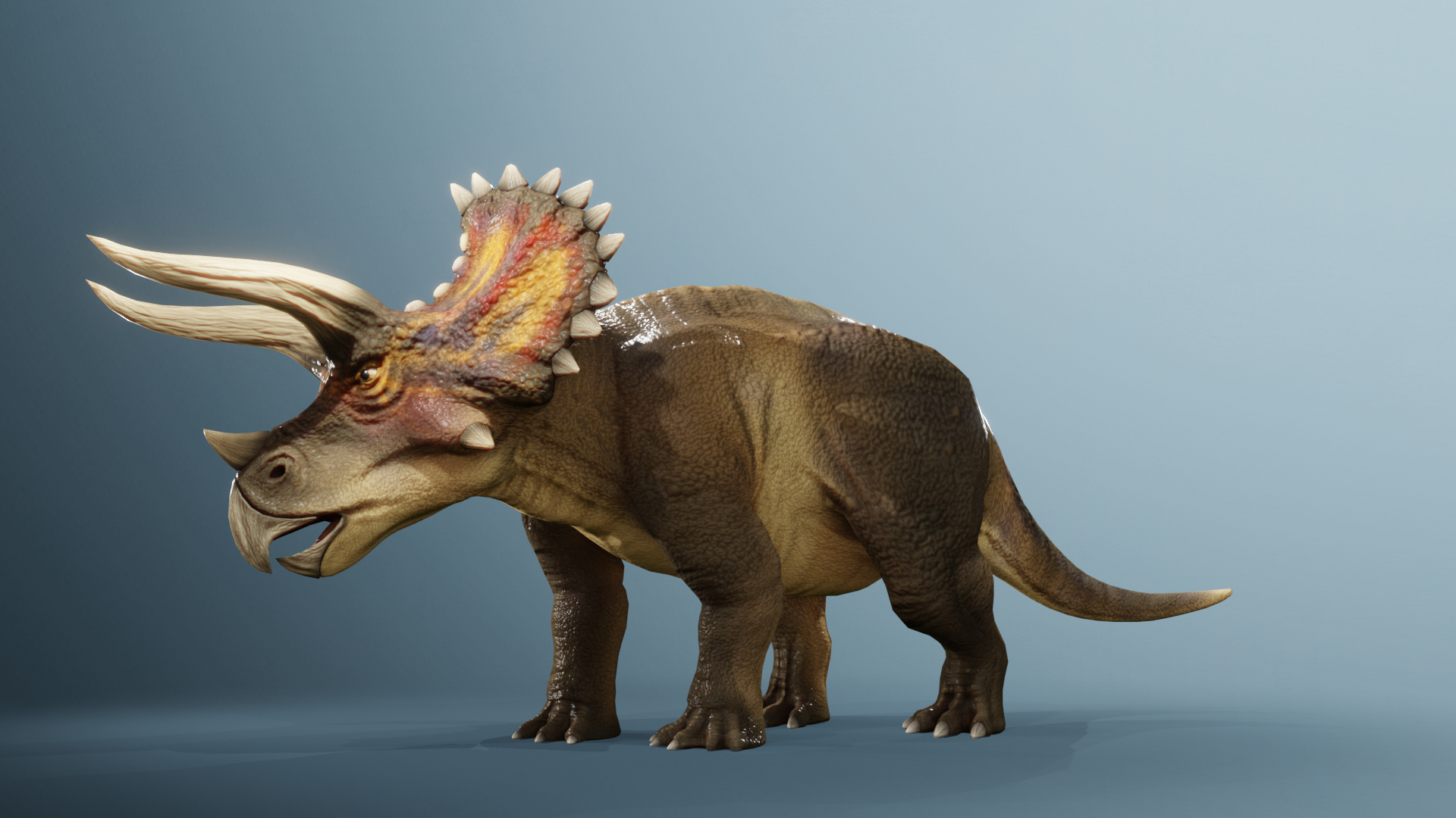 Triceratops Low-poly Rig Model - TurboSquid 1867000