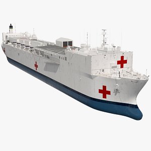 Maritime Medical Support Ship