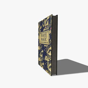 3ds max old worn book