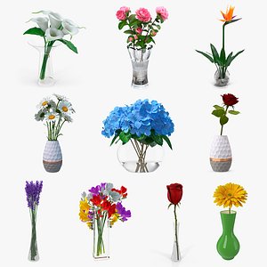 3D Flowers in Vases Collection 4