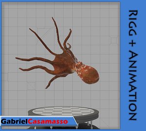 3d model octopus vulgaris animation