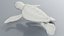 3D Baby Sea Turtle Brown Swim Rigged For Maya Animated