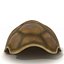 turtle shell