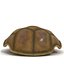 turtle shell