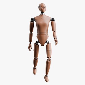 3D Rigged Crash Test Female Dummy