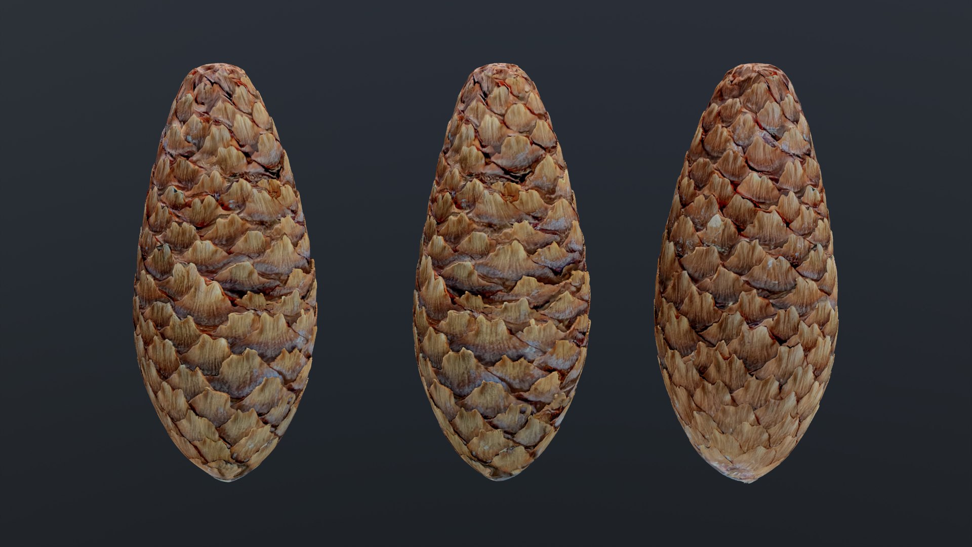 Spruce cone PBR 3D model https://p.turbosquid.com/ts-thumb/EU/QVwIj1/JF/spruce_cone_06/jpg/1746599204/1920x1080/fit_q87/76738ef7336485bc2ef80efc7911f1aeba78c8a0/spruce_cone_06.jpg