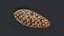Spruce cone PBR 3D model