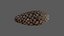 Spruce cone PBR 3D model