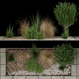 3D Collection plant vol 98 - Outdoor