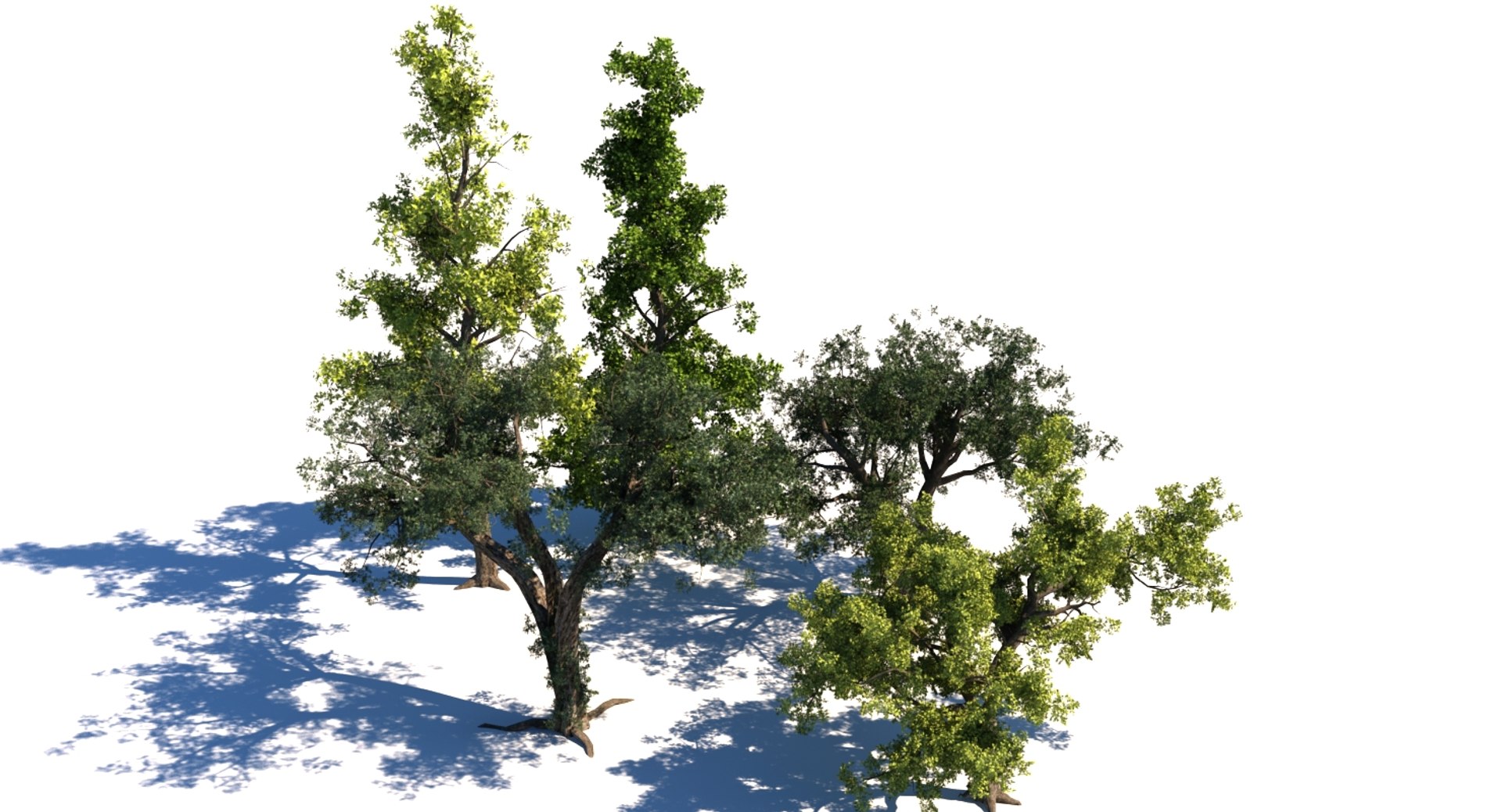 Tree Nature Model - TurboSquid 1379605