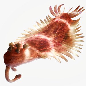 Opabinia model