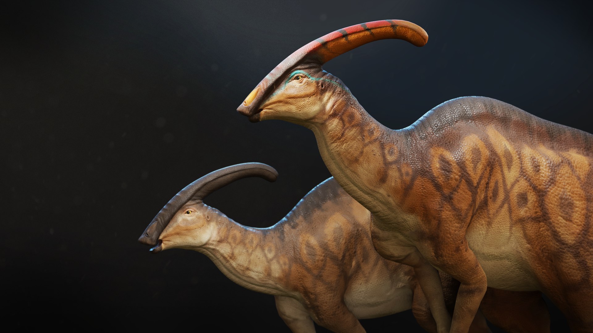 3D Parasaurolophus Low-poly RIG model https://p.turbosquid.com/ts-thumb/EU/eMoxu9/55/render05/png/1656679064/1920x1080/fit_q87/0b059bd93a5b56f220cd7460a7e33c968a52c9c2/render05.jpg