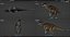 Parasaurolophus Low-poly RIG