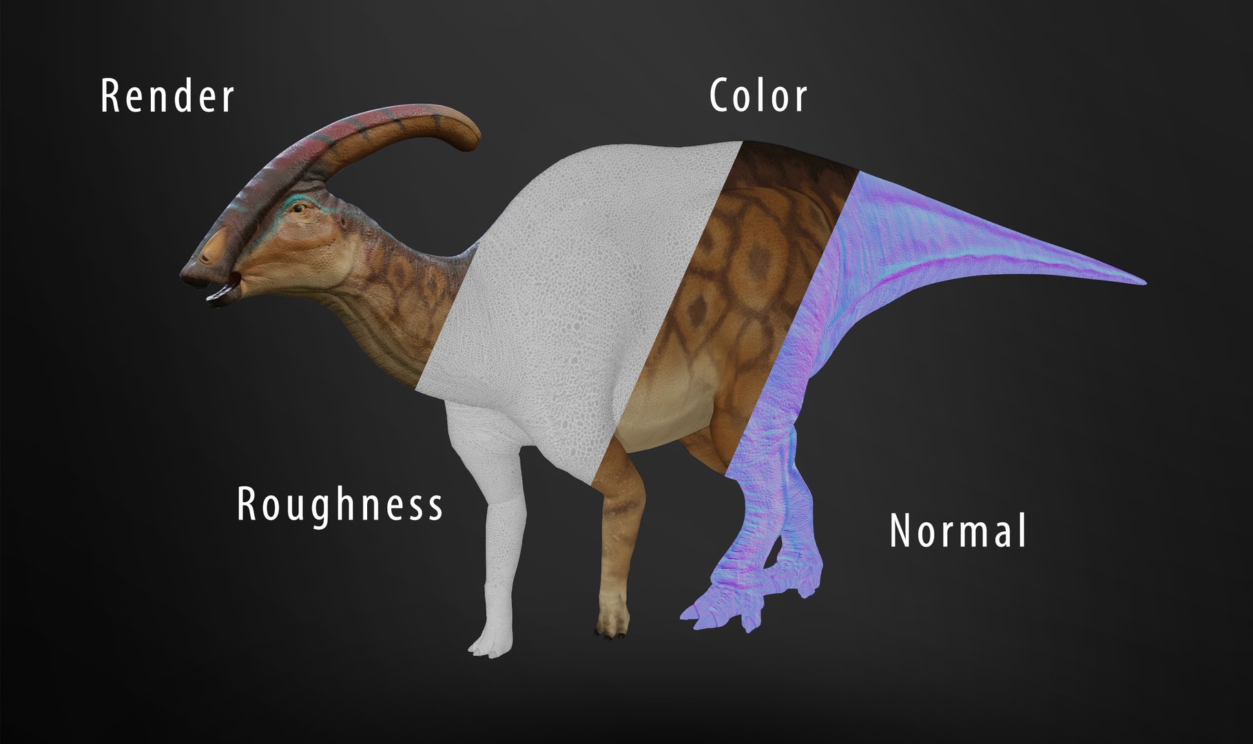 3D Parasaurolophus Low-poly RIG model https://p.turbosquid.com/ts-thumb/EU/eMoxu9/Wl/maps/png/1656679316/1920x1080/fit_q87/890fd0914461d470fd051658912353a36d805035/maps.jpg