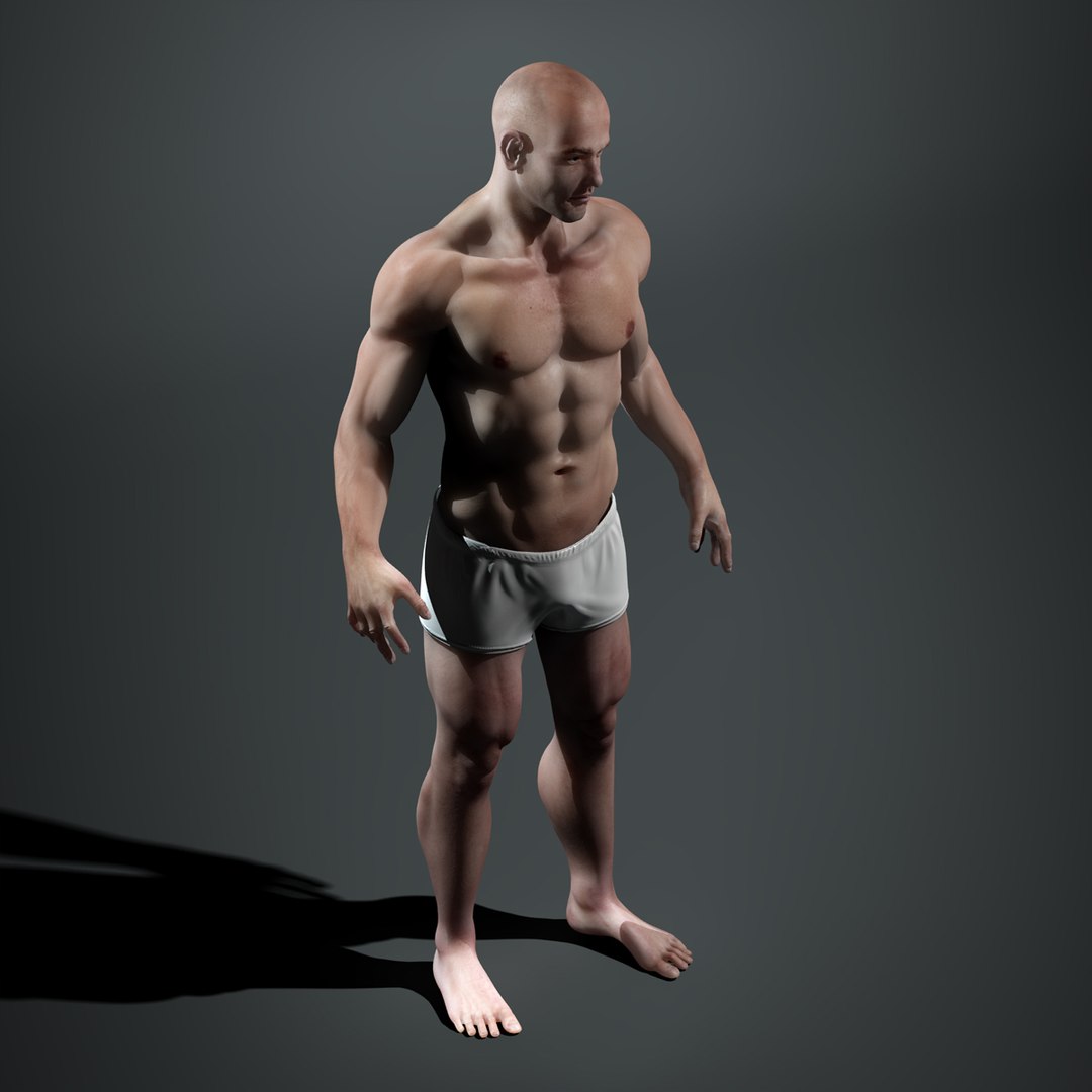Human Man 3d Model