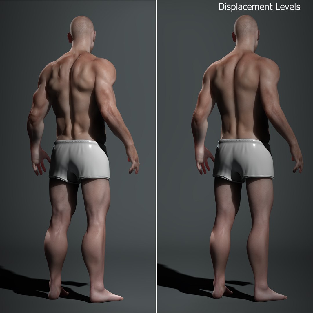 Human Man 3d Model