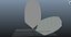 Peakock Feather