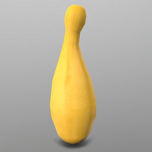 yellow squash 3D model
