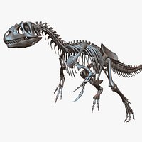 Allosaurus skeleton