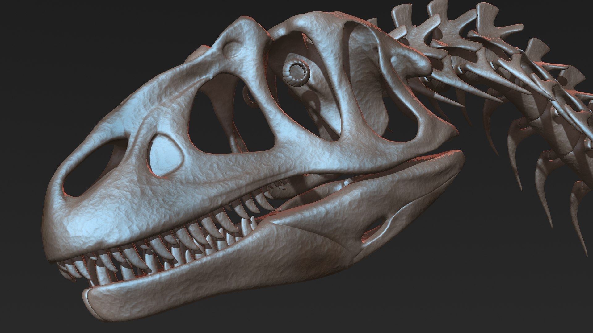 Allosaurus Skeleton Model - TurboSquid 1228773