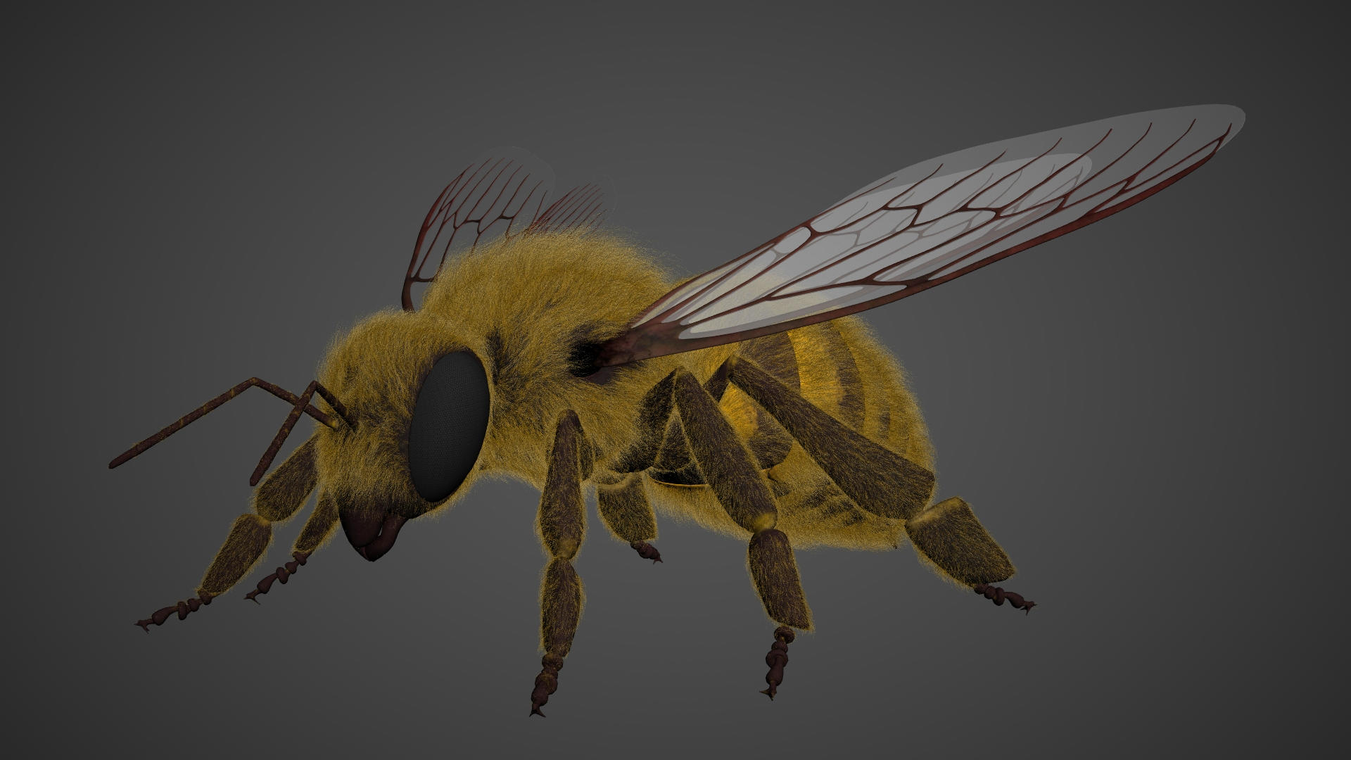 honey bee 3D https://p.turbosquid.com/ts-thumb/EU/zYIScc/6eBhU2Gu/bee_animate/jpg/1588426418/1920x1080/turn_fit_q99/73518118d7e0b0fada975a94742733c75943aa99/bee_animate-1.jpg