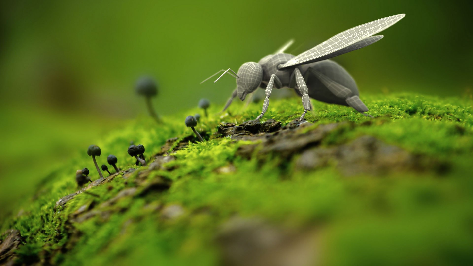 honey bee 3D https://p.turbosquid.com/ts-thumb/EU/zYIScc/JpH5dbBp/bee_view01_wire0000/jpg/1588425507/1920x1080/fit_q87/e659bd497d10e586da47eccb2a6bb09a490066ca/bee_view01_wire0000.jpg